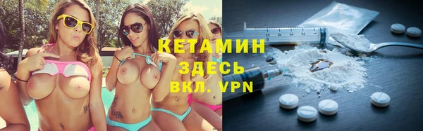 шишки Арсеньев