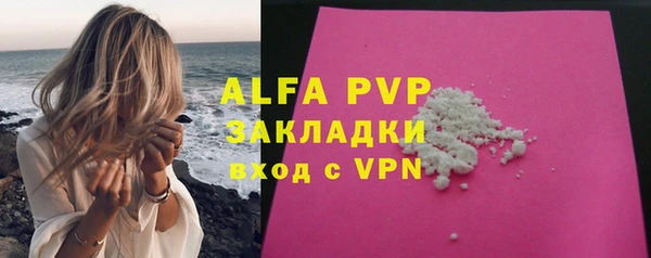 шишки Арсеньев
