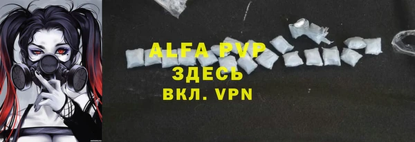 шишки Арсеньев
