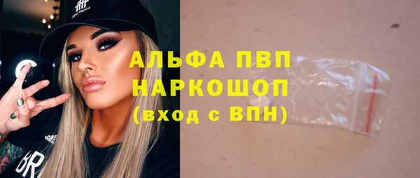 шишки Арсеньев