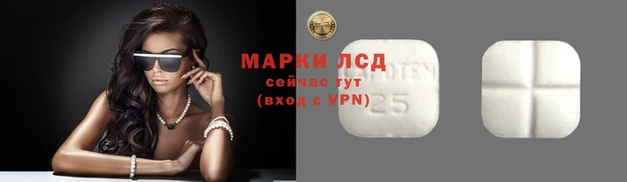 ПСИЛОЦИБИНОВЫЕ ГРИБЫ Армянск
