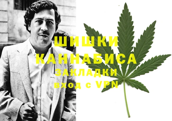 ПСИЛОЦИБИНОВЫЕ ГРИБЫ Армянск