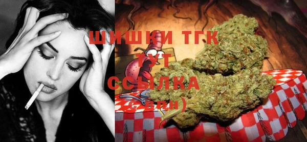 шишки Арсеньев