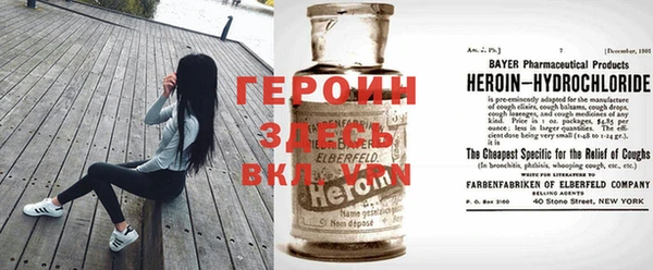 шишки Арсеньев