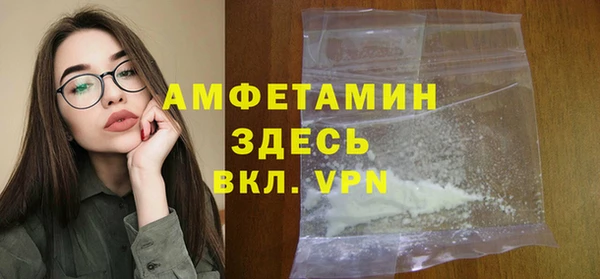 шишки Арсеньев