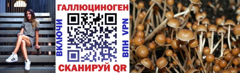 darknet клад  Ржев  Псилоцибиновые грибы мухоморы  продажа наркотиков 